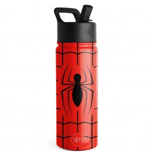 Simple Modern Water Bottle with Straw Lid Waterflessen Rood | 145783ZBD