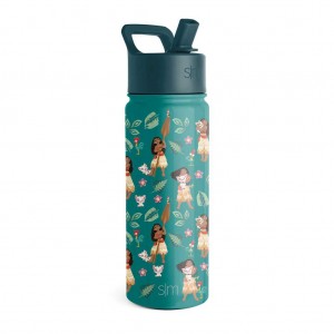 Simple Modern Water Bottle with Straw Lid Waterflessen Lichtolijfgroen | 253714EYH