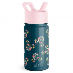 Simple Modern Water Bottle with Straw Lid Waterflessen Obsidian Groen | 920763XNF