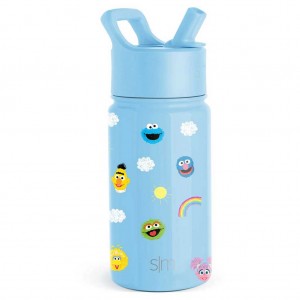 Simple Modern Water Bottle with Straw Lid Waterflessen Lichtblauw | 013925KQH