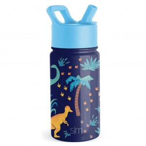 Simple Modern Water Bottle with Straw Lid Waterflessen Groen | 638579YVF