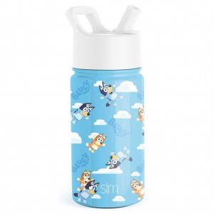 Simple Modern Water Bottle with Straw Lid Waterflessen Blauw | 136029UNH