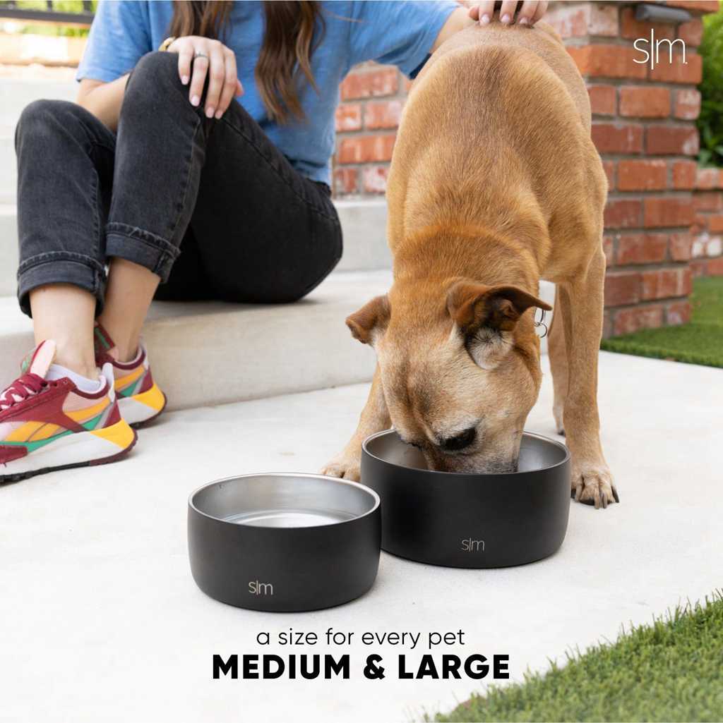 Simple Modern Bentley Pet Bowl Obsidian Groen | 682095NPX