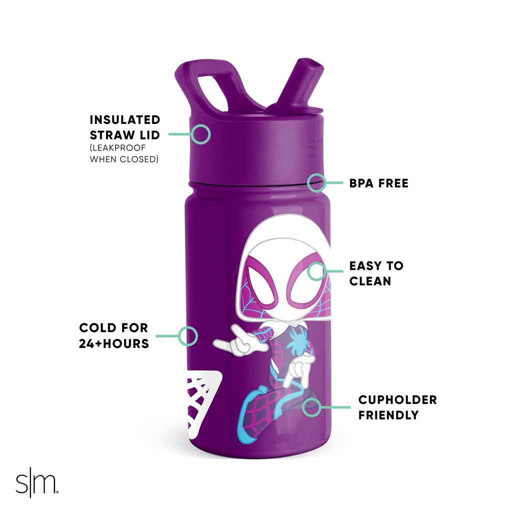 Simple Modern Water Bottle with Straw Lid Waterflessen Paars | 584796JLW