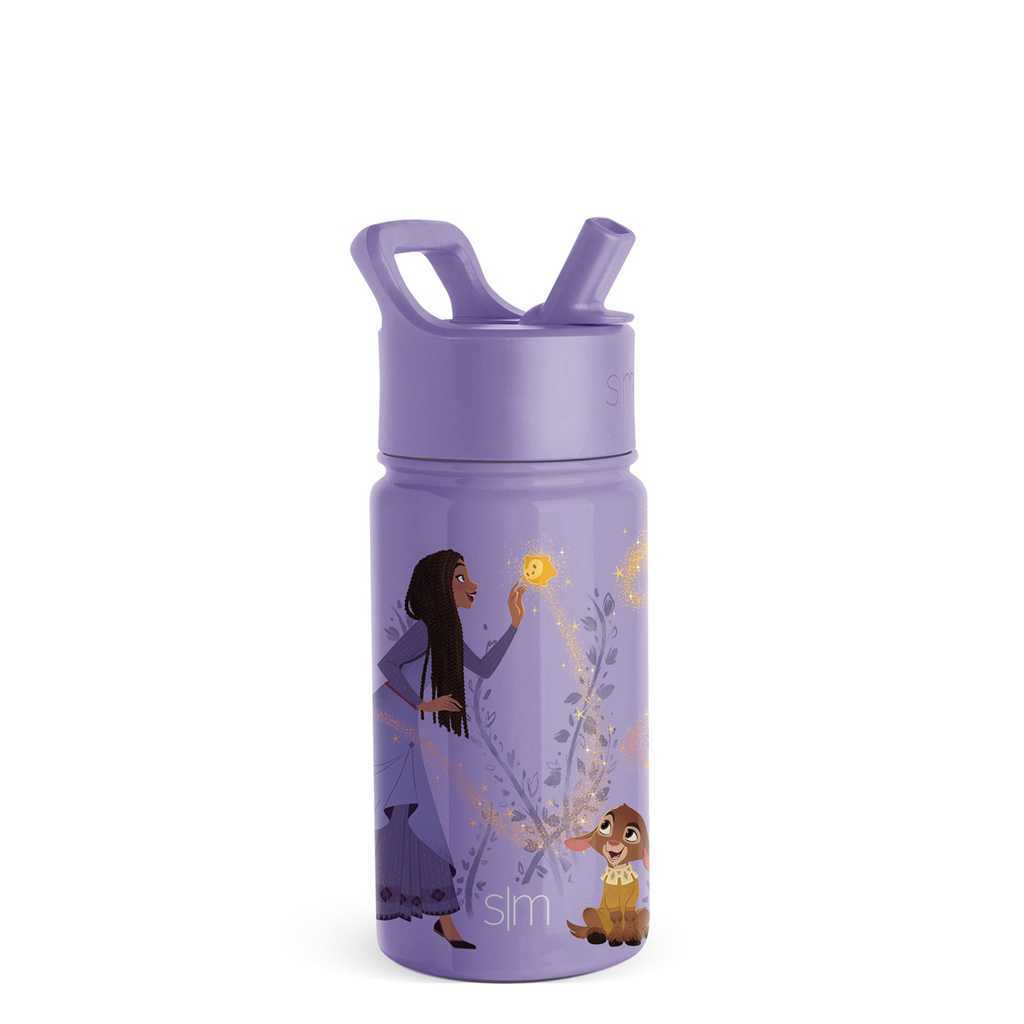 Simple Modern Water Bottle with Straw Lid Waterflessen Paars | 916375ZGM