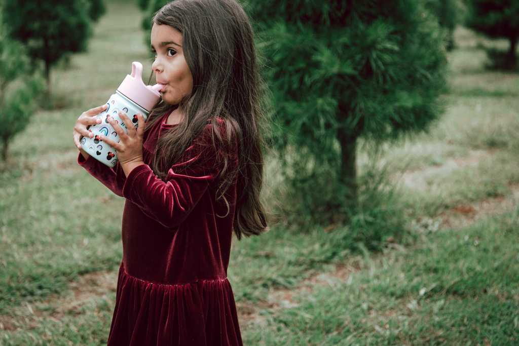 Simple Modern Water Bottle with Straw Lid Waterflessen Donkerblauw | 518976QAW