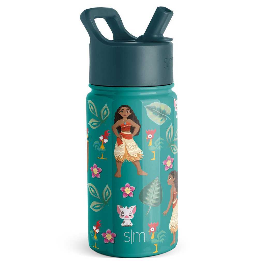 Simple Modern Water Bottle with Straw Lid Waterflessen Lichtturquoise | 013896YQF