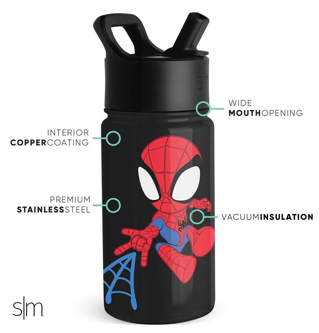 Simple Modern Water Bottle with Straw Lid Waterflessen Zwart | 382456DXQ